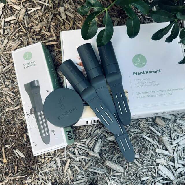 Charcoal Willow Sensors lie next to the Plant Parent giftbox