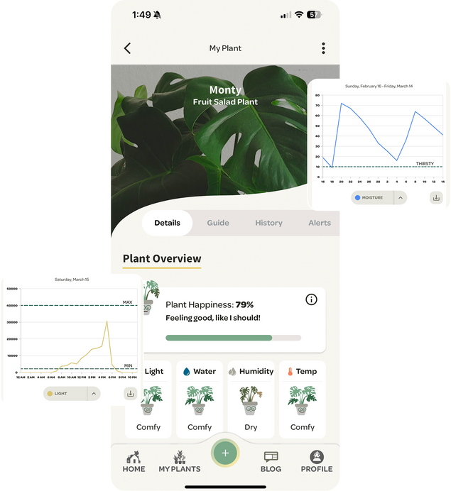 Willow Sensor data is charted to show healthy range and a happy plant condition score