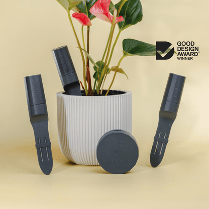 Charcoal Coloured Plant Parent Pack