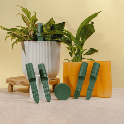 Moss Coloured Urban Jungle Pack